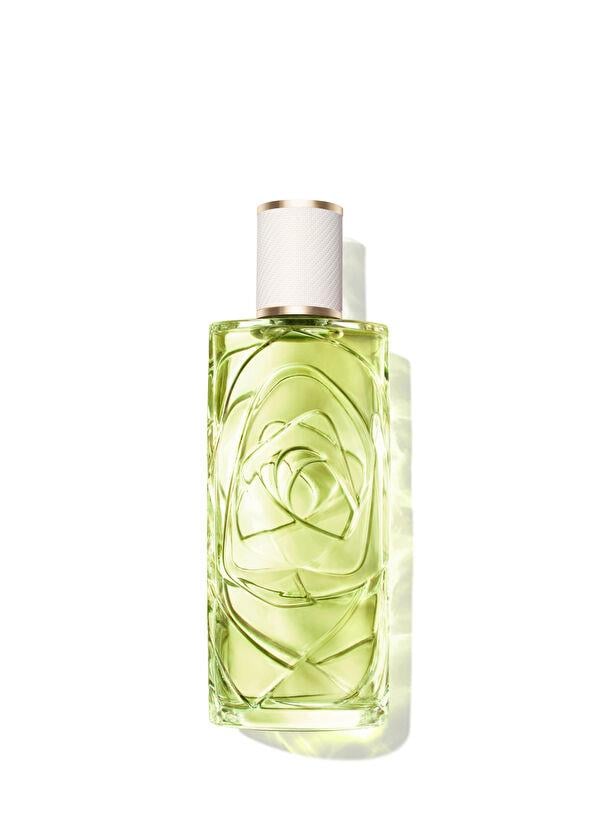 Lancome Les Ô Off Now EDT 100 ml Kadın Parfüm