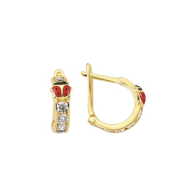 14 Ayar Kanallı Mineli Taşlı Altın Küpe