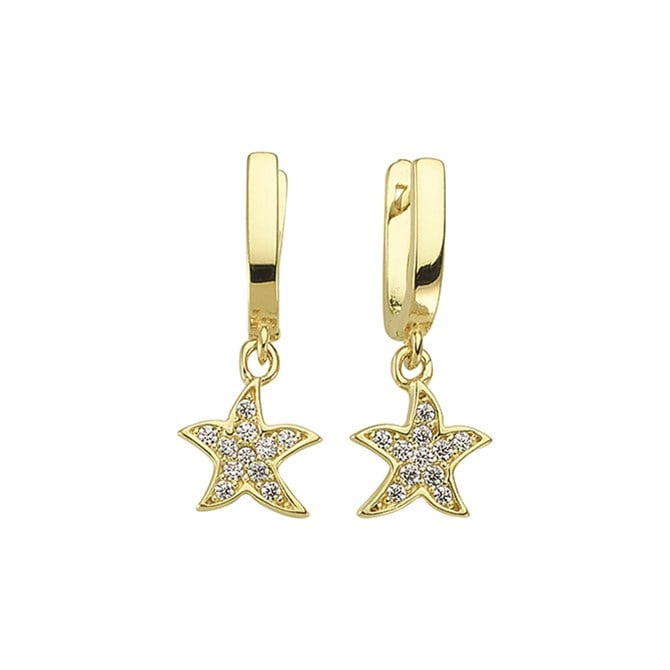 14 Ayar Sallantılı Taşlı Altın Küpe