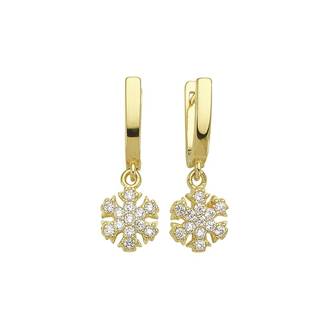 14 Ayar Sallantılı Taşlı Altın Küpe