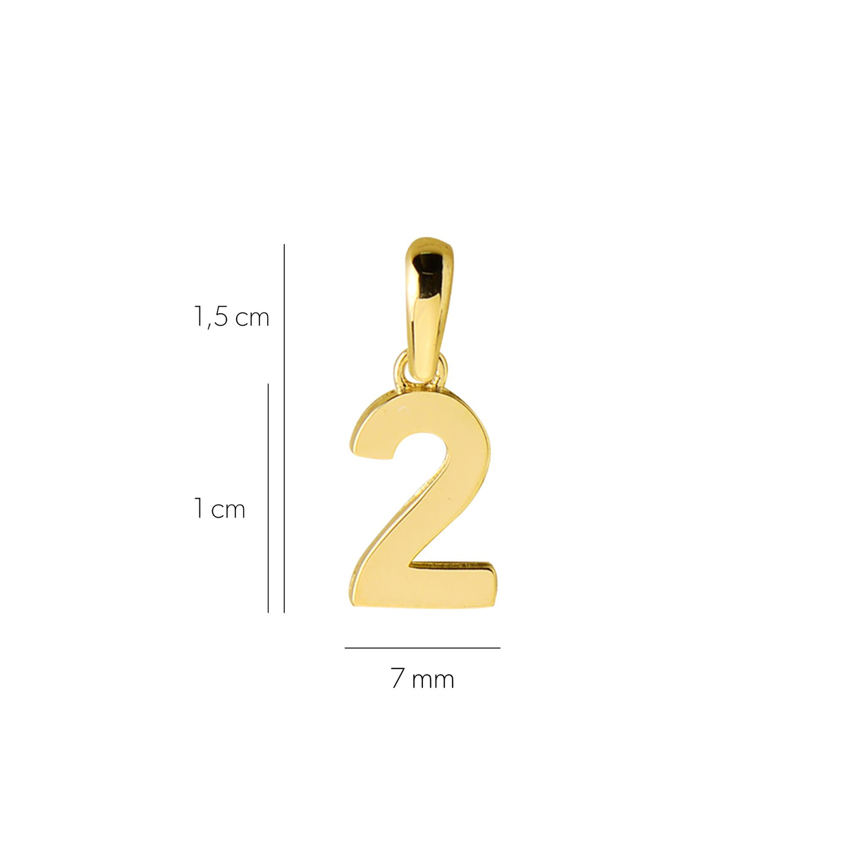 14 Ayar İki Rakamı Altın Kolye Ucu