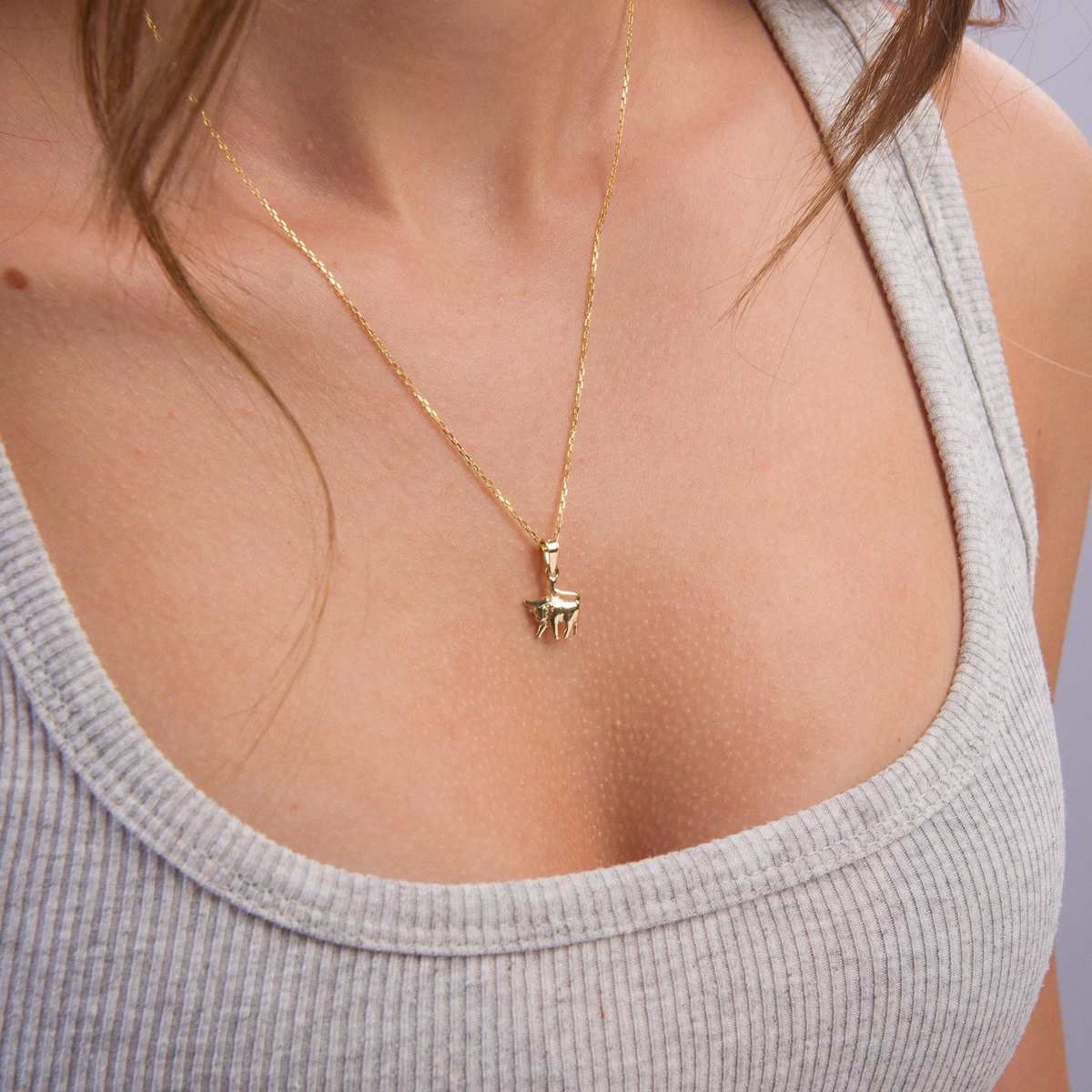 14 Ayar Altın Boğa Burç Kolye Ucu