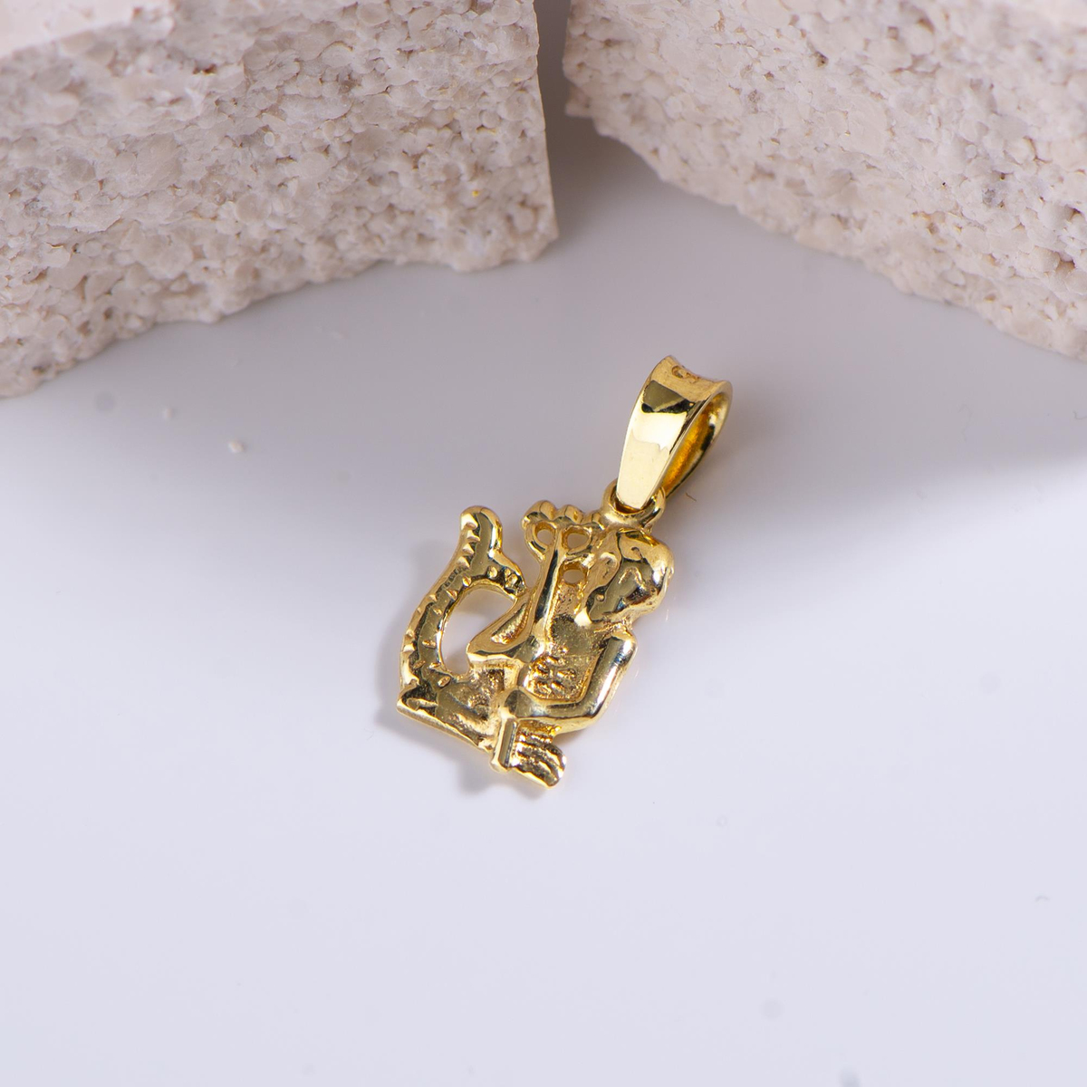 14 Ayar Altın Kova Burç Kolye Ucu