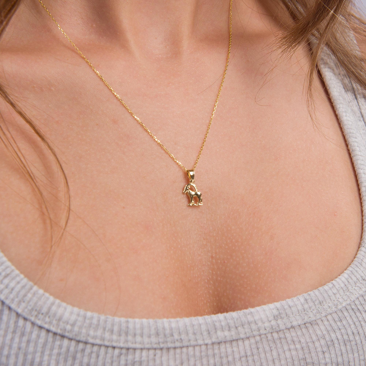 14 Ayar Altın Oğlak Burç Kolye Ucu