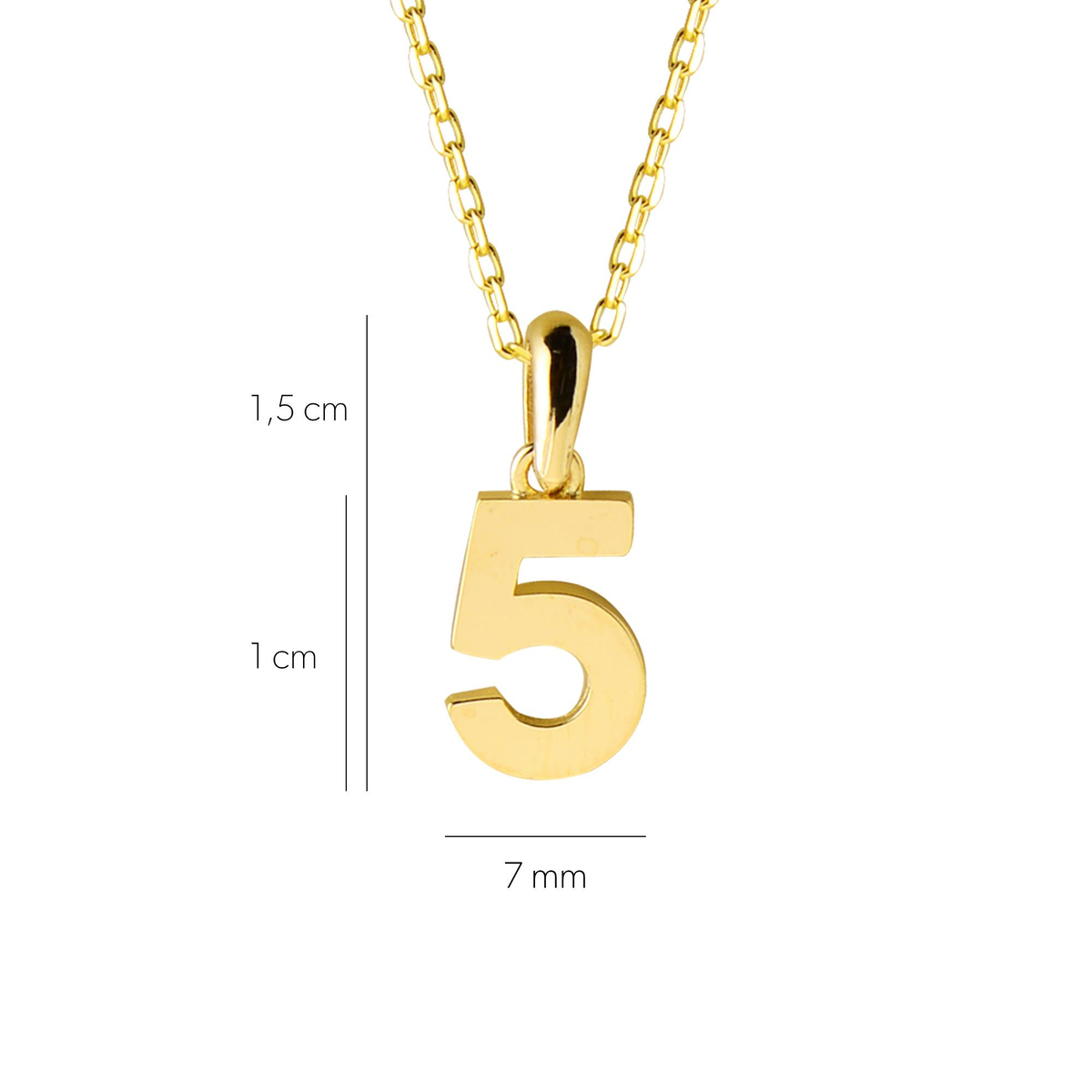 14 Ayar Beş Rakamı Altın Kolye