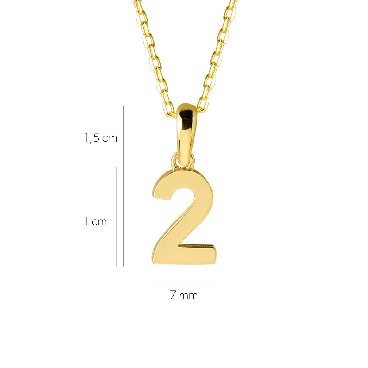 14 Ayar İki Rakamı Altın Kolye