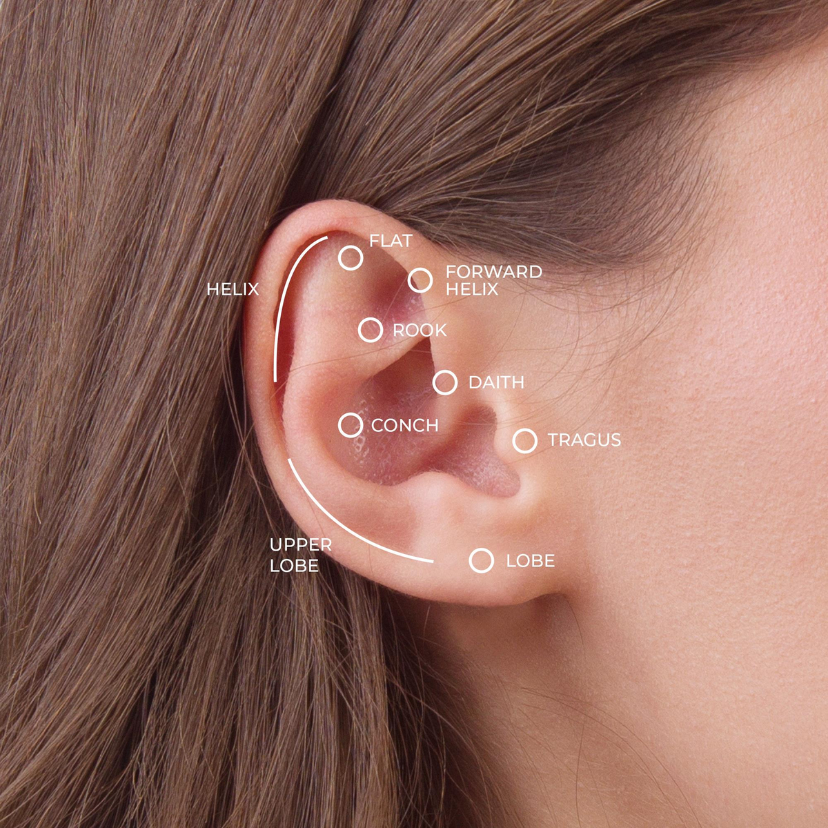 Yılan Altın Piercing