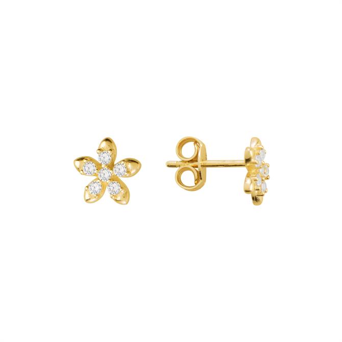 14k Altın Çiçek Taşlı Küpe