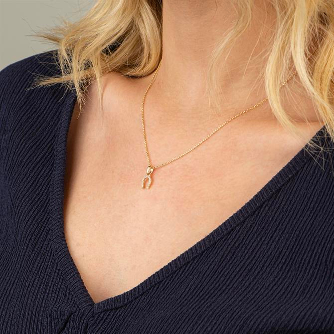 14k Altın Taşlı Nal Şans Kolye