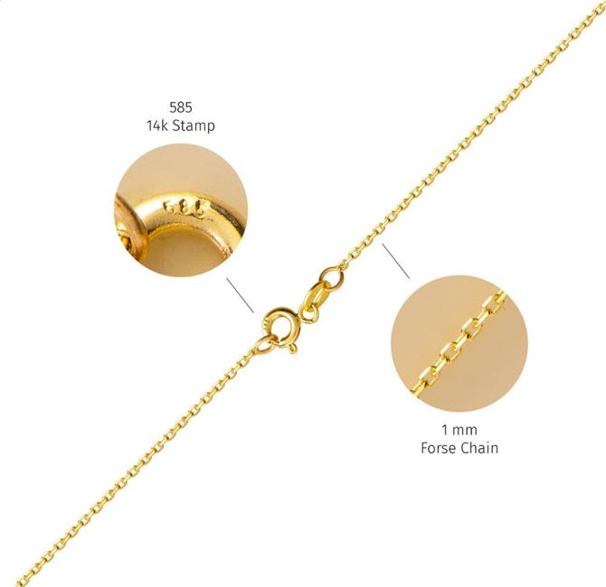 14k Altın Taşlı Nal Şans Kolye