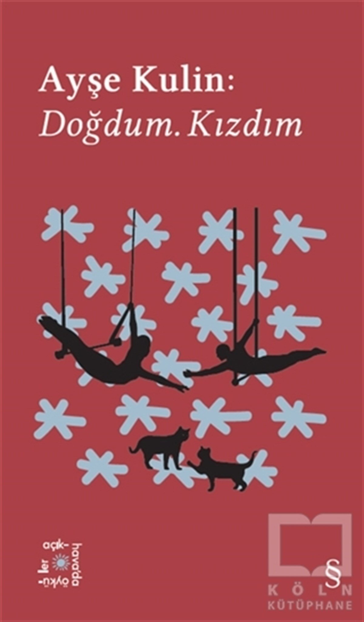Ayşe KulinHikaye (Öykü) KitaplarıDoğdum. Kızdım