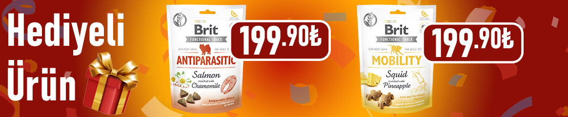 Banner Reklam