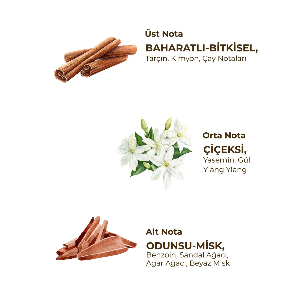 Topkapı Palace 150 ml Eau De Cologne - Cam Şişe