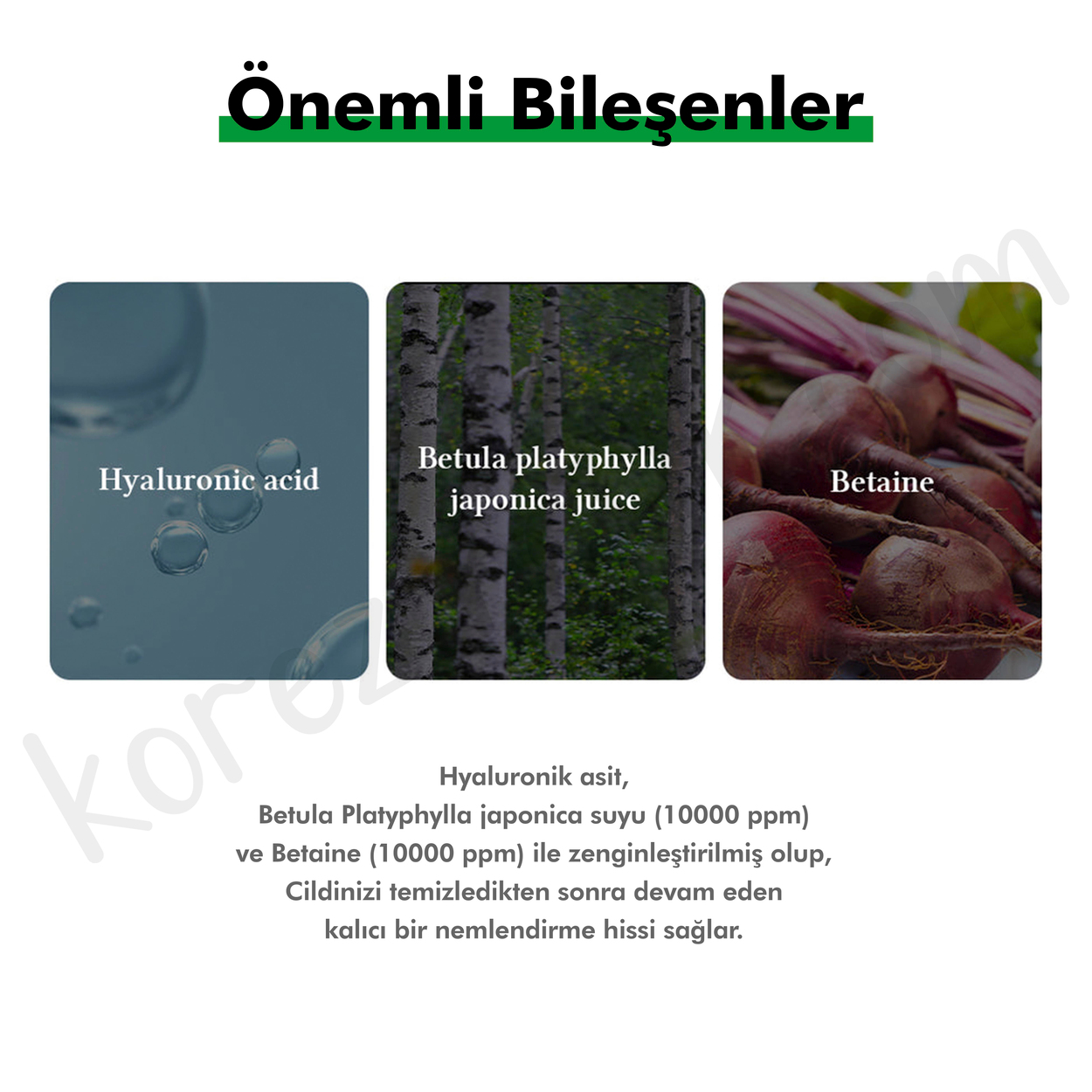 Dr. Althea Green Relief Amino Gel Cleanser - Düşük PHlı Betaine ve Hyaluronik Asit İçeren Gözenek Karşıtı Nazik Ve Etkili Temizleyici Jel - 100ml