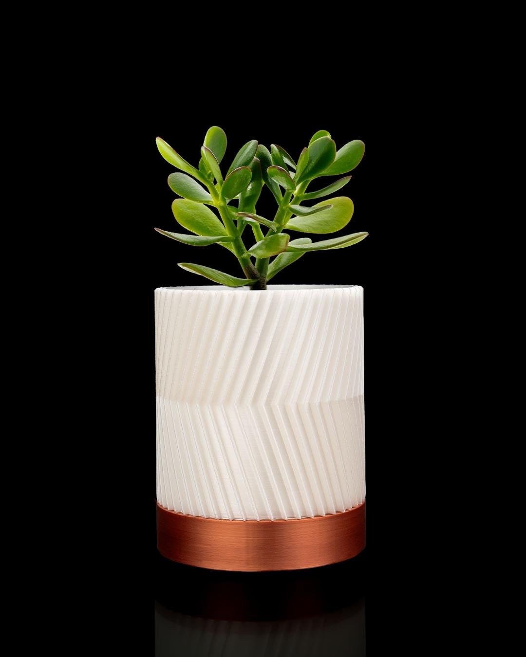 Greennest Mini Duvar Saksısı Sukulent Dekoratif Duvar Saksısı