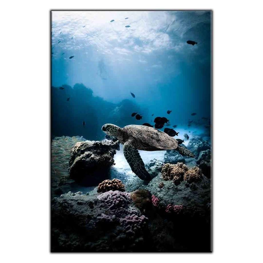 DENİZİN DİBİNDEKİ CARETTA CARETTA KANVAS TABLO ürününe, KANVAS TABLOLAR kategorisinden hemen satın alabilirsiniz.
