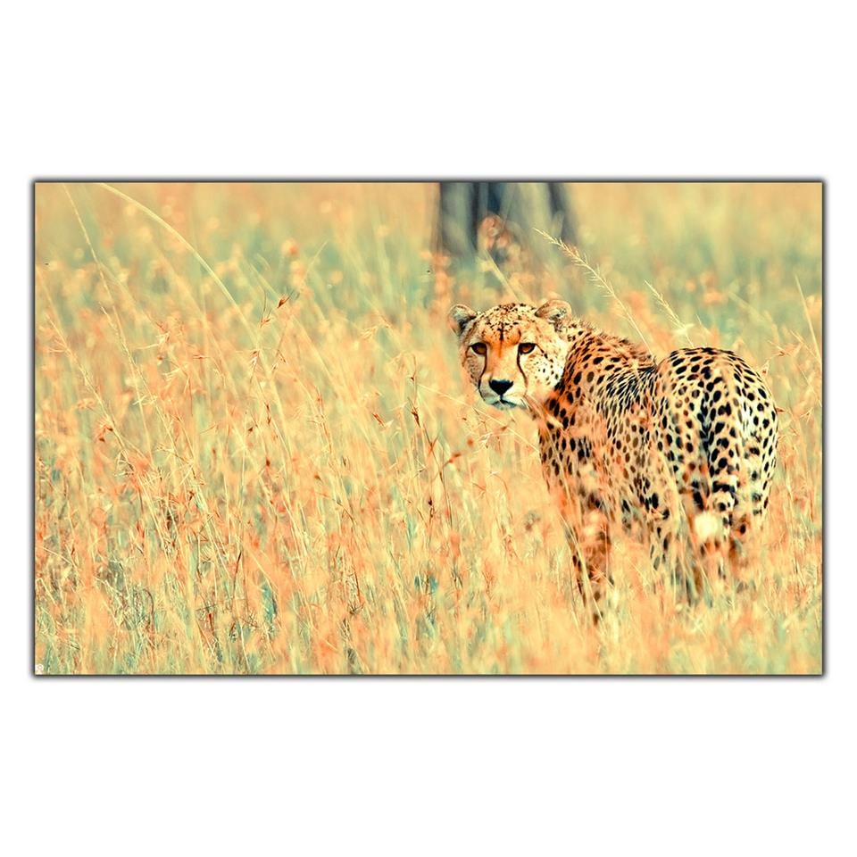 KAHERENGİ GÖZLÜ LEOPAR KANVAS TABLO ürününe, KANVAS TABLOLAR kategorisinden hemen satın alabilirsiniz.