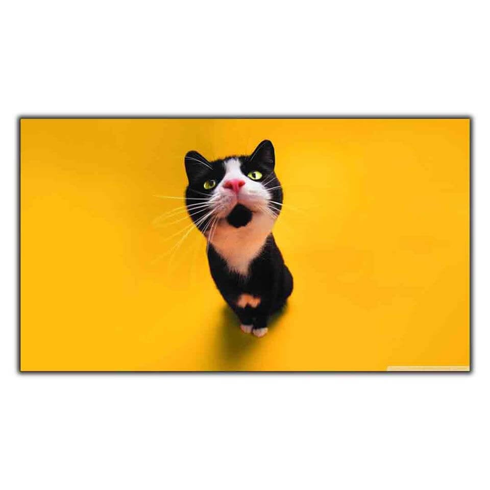 PEMBE BURUNLU SMOKİN KEDİ KANVAS TABLO ürününe, KANVAS TABLOLAR kategorisinden hemen satın alabilirsiniz.