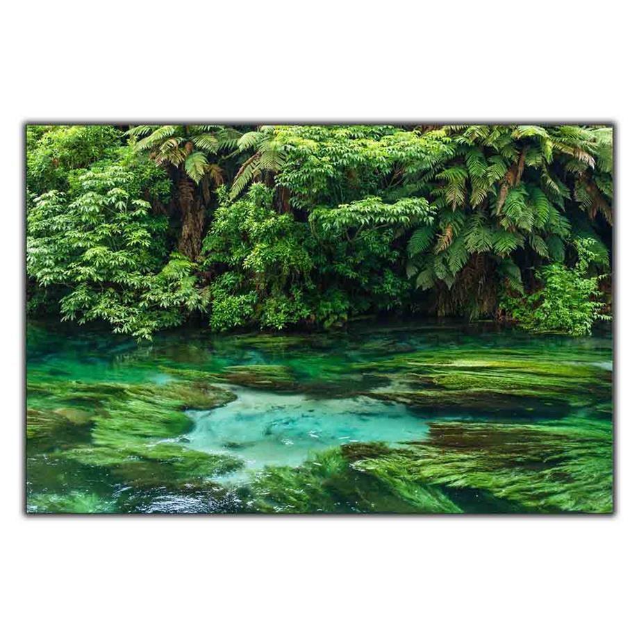 TE WAİHOU YÜRÜYÜŞ ALANI KANVAS TABLO ürününe, YAĞLI BOYA DOKULU TABLOLAR kategorisinden hemen satın alabilirsiniz.