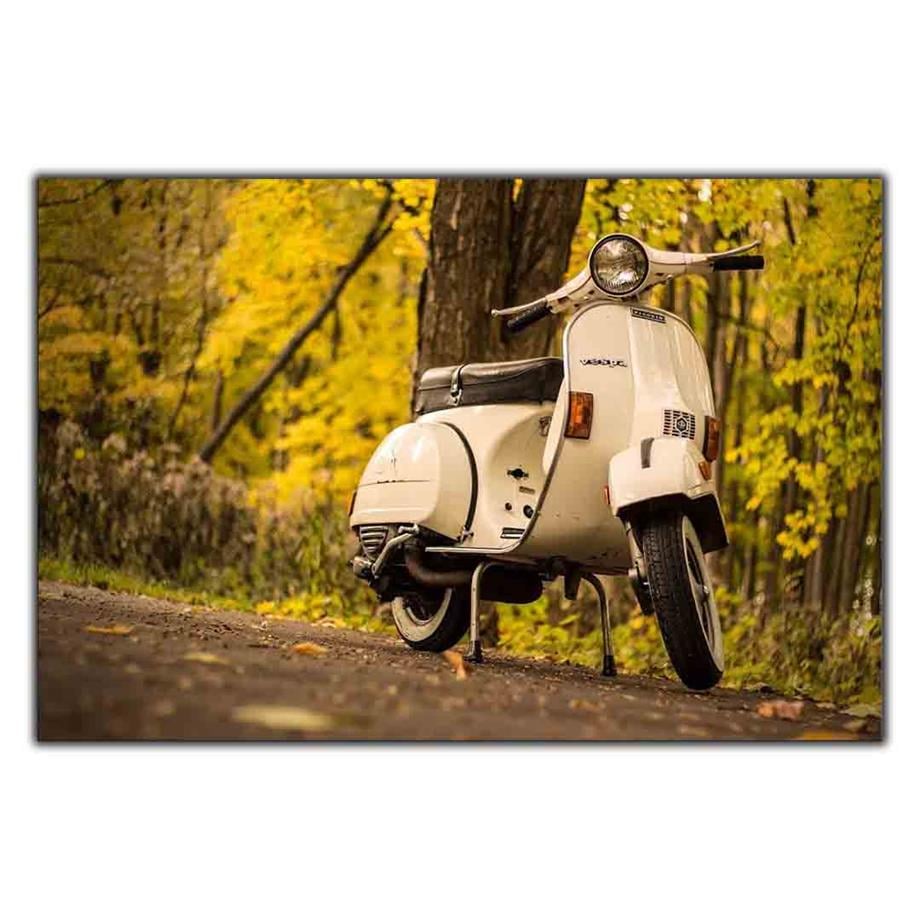 YEŞİLLERİN ARASINDAKİ BEYAZ VESPA MOTOSİKLET KANVAS TABLO ürününe, KANVAS TABLOLAR kategorisinden hemen satın alabilirsiniz.