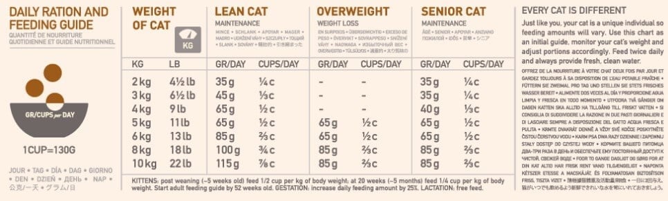 Orijen Kitten Tahılsız Tavuklu Yavru Ve Yetişkin Kedi Maması