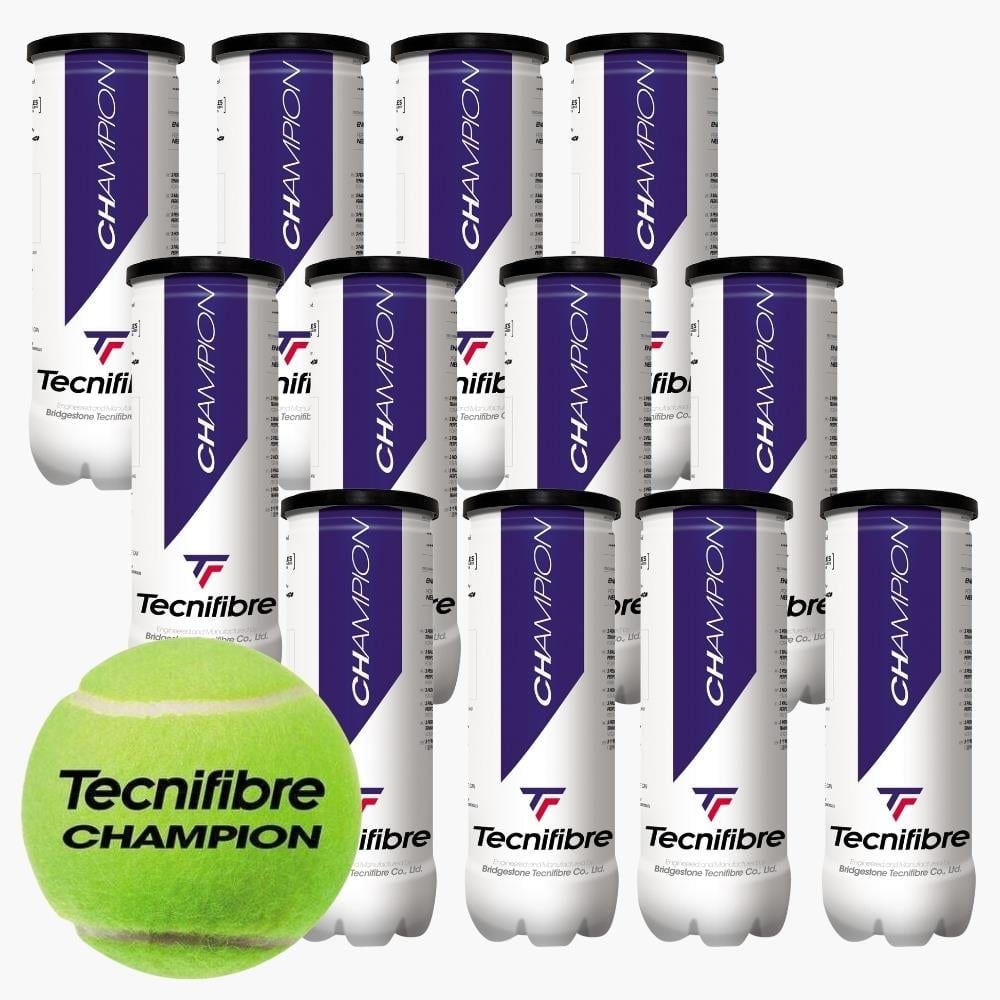 Tecnifibre Champion 3'lü Tenis Topu 12 Kutu