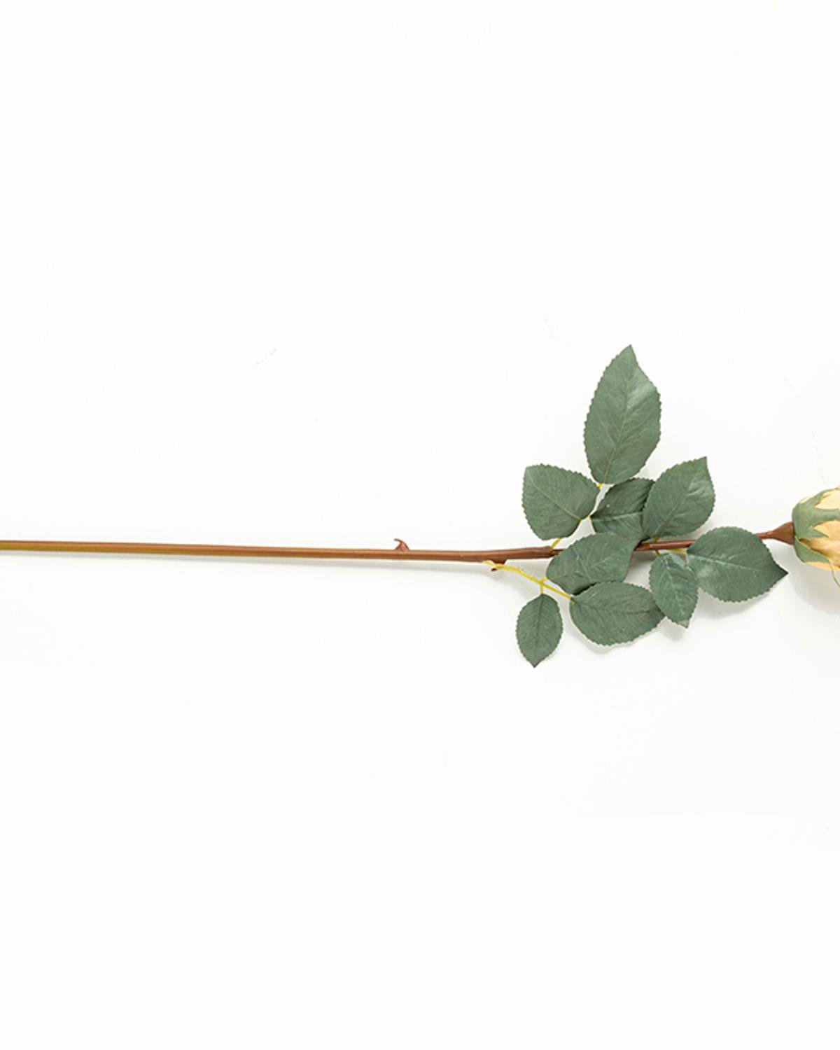 Majestic Rose Artificial Flower - One Pc 60 cm Cream
