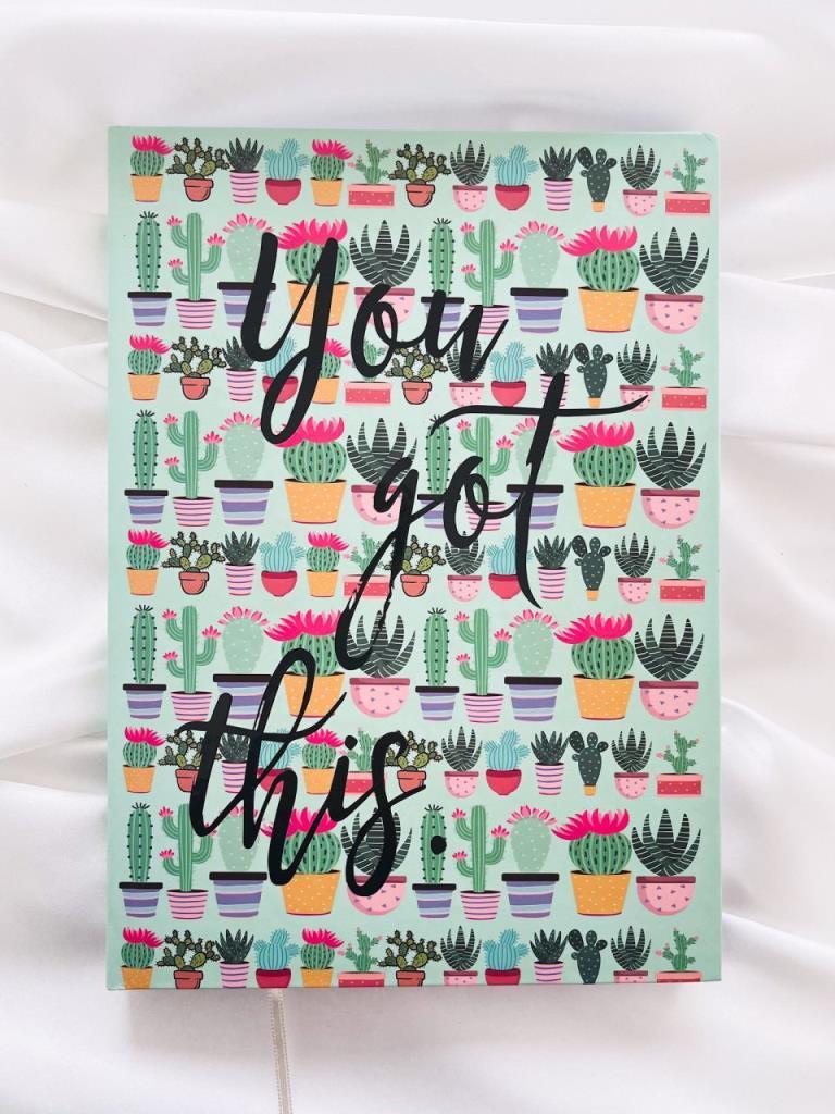 Planlayıcı Defter - You Got This Kaktüs