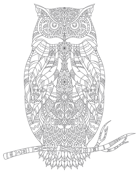 ARTDECO TUVAL DESENLİ 40x50 CM HAYVANLAR BAYKUŞ Y-100-P40.03