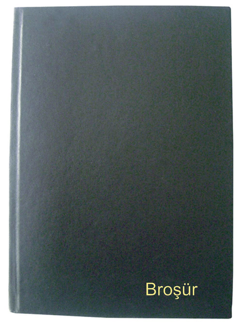 DİLMAN BROŞÜR DEFTERİ CİLTLİ 20x28 192 YP 70156