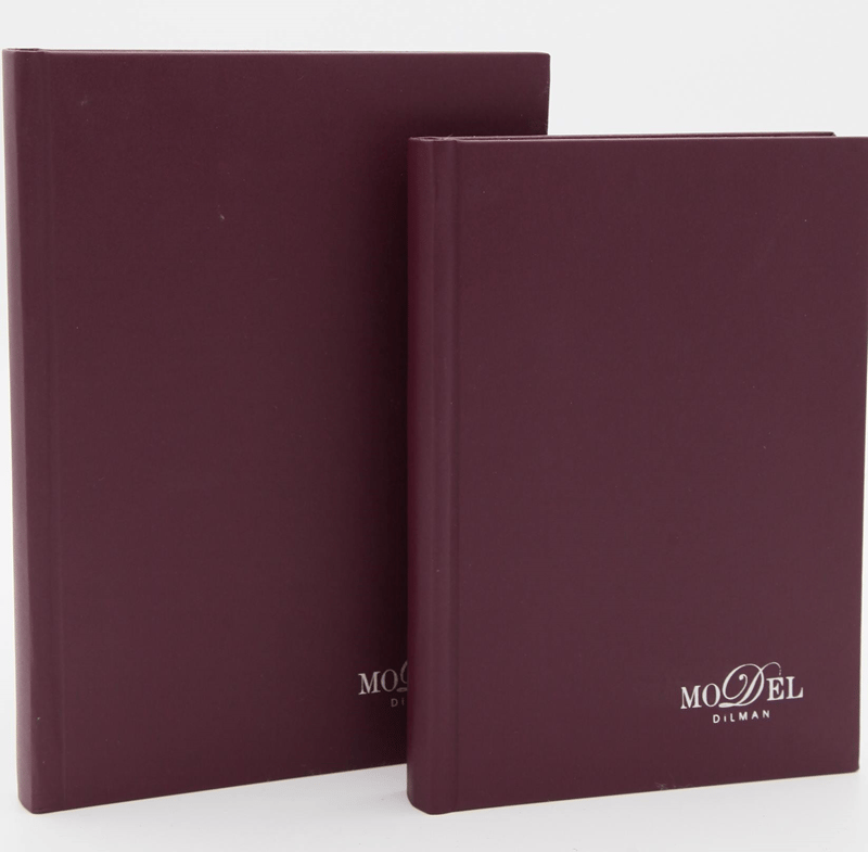 DİLMAN DEFTER MODELİST CİLTLİ SERT KAPAK 17x24 160 YP ÇİZGİLİ 6014