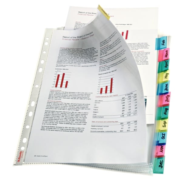 ESSELTE POŞET DOSYA AYRAÇLI 12SY 414170