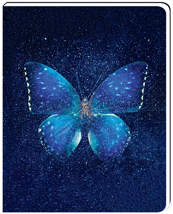 KESKİN DEFTER BİND-NOTE BUTTERFLY 13x16,5 80 YP. ÇİZGİLİ 410886