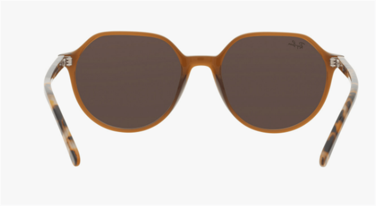 Rayban 2195 Unisex Güneş Gözlüğü