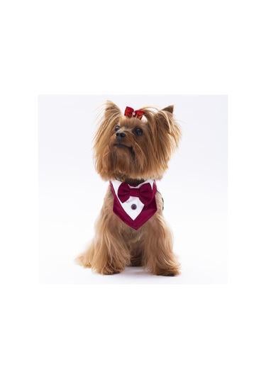 Pawstar Bordo Smokin Boyun Tasması Size:2