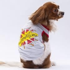 Pawstar Grey S. Time Büyük Irk Tişört