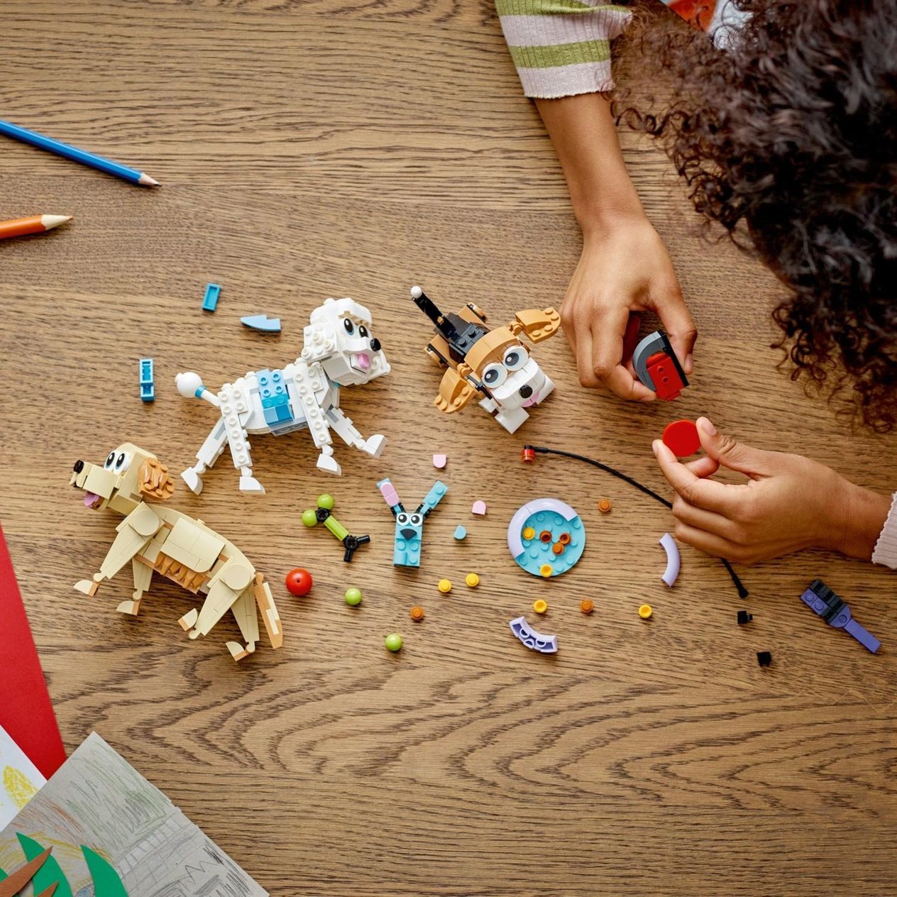 lego-creator-sevimli-kopekler-31137-7--048739.jpg