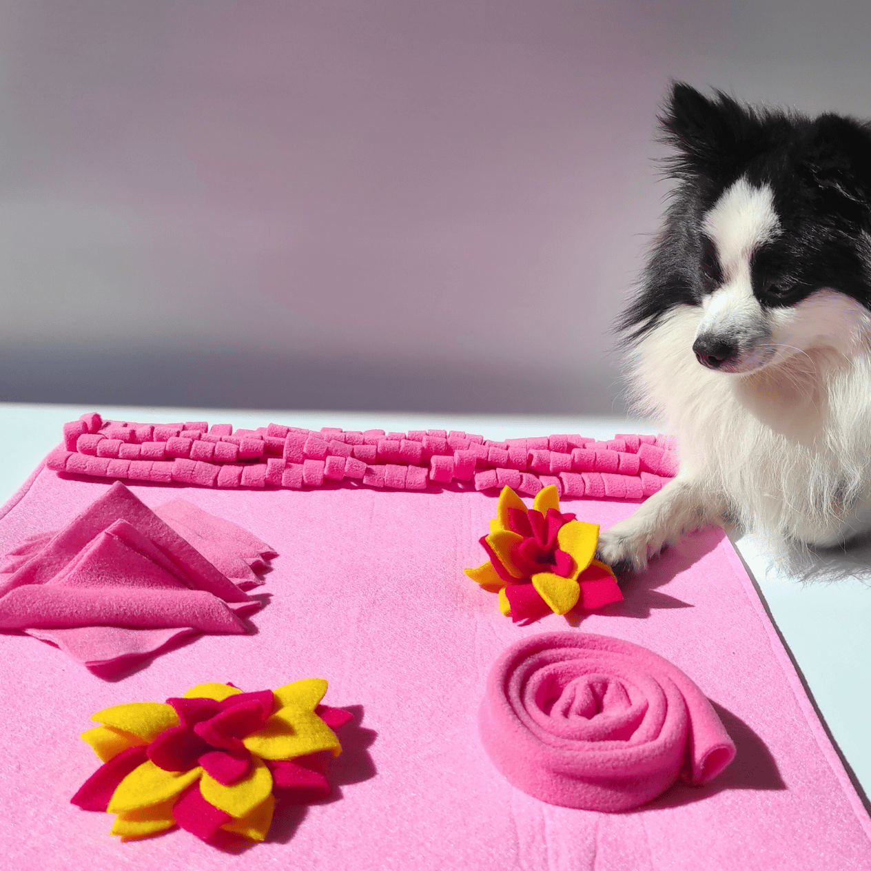 Doğa TemalıKöpek Koklama Matı