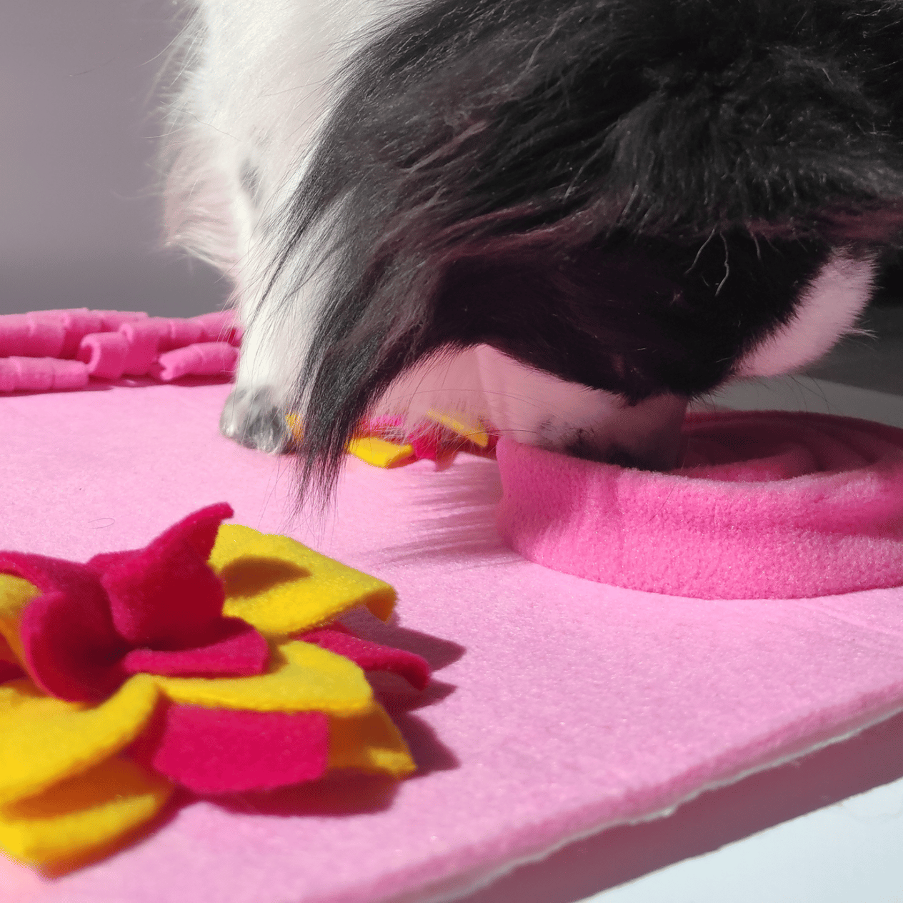 Doğa TemalıKöpek Koklama Matı