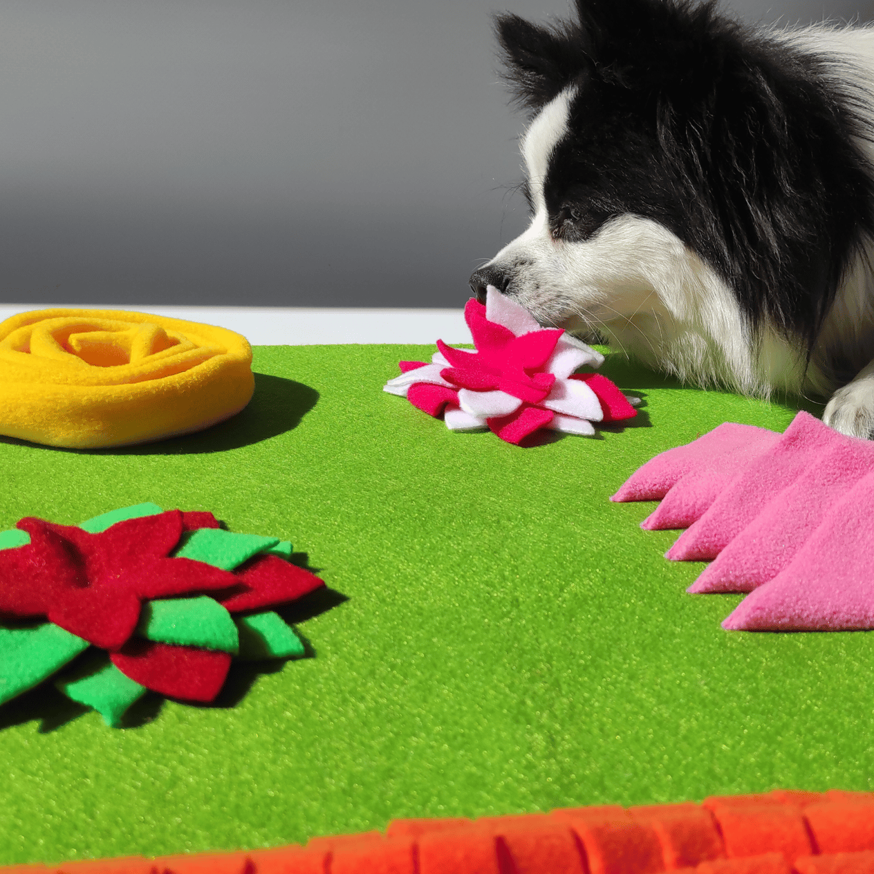Doğa TemalıKöpek Koklama Matı