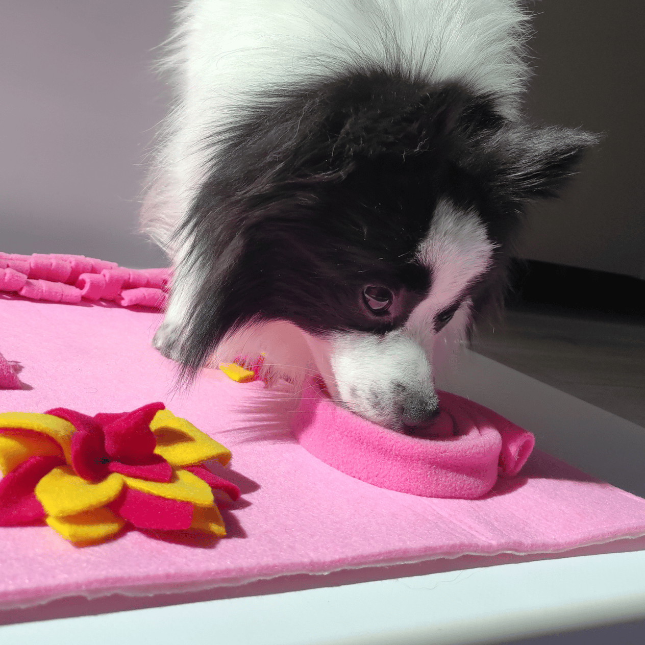 Doğa TemalıKöpek Koklama Matı