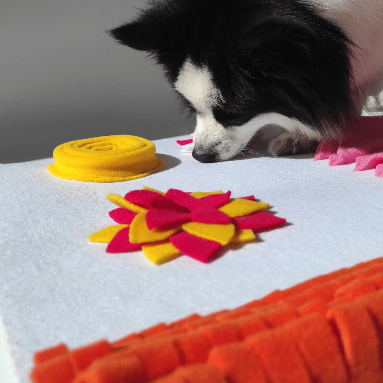 Doğa TemalıKöpek Koklama Matı