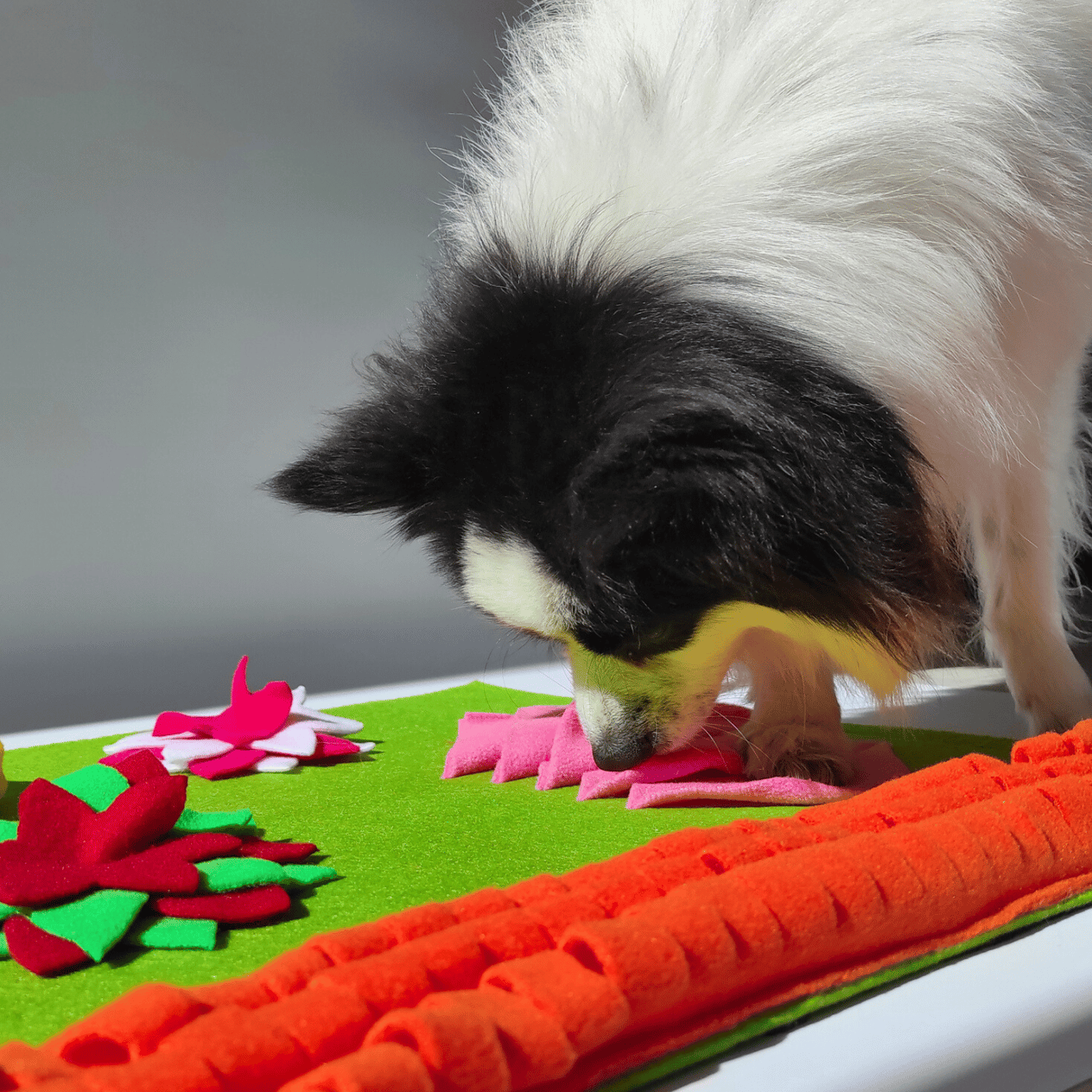 Doğa TemalıKöpek Koklama Matı