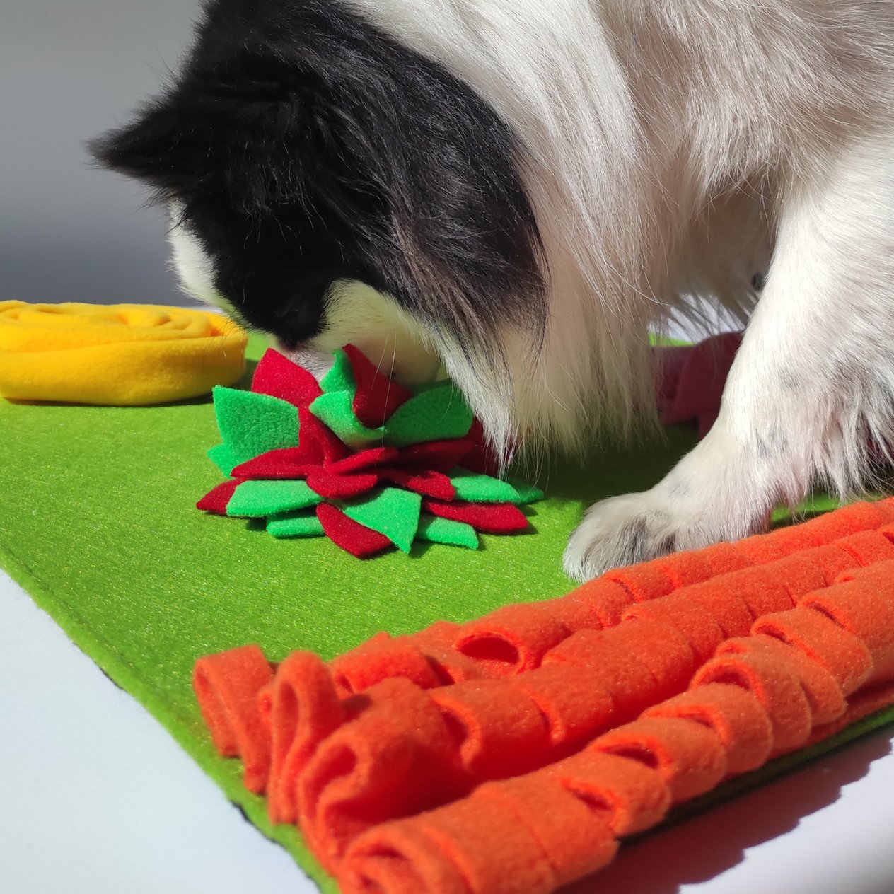Doğa TemalıKöpek Koklama Matı