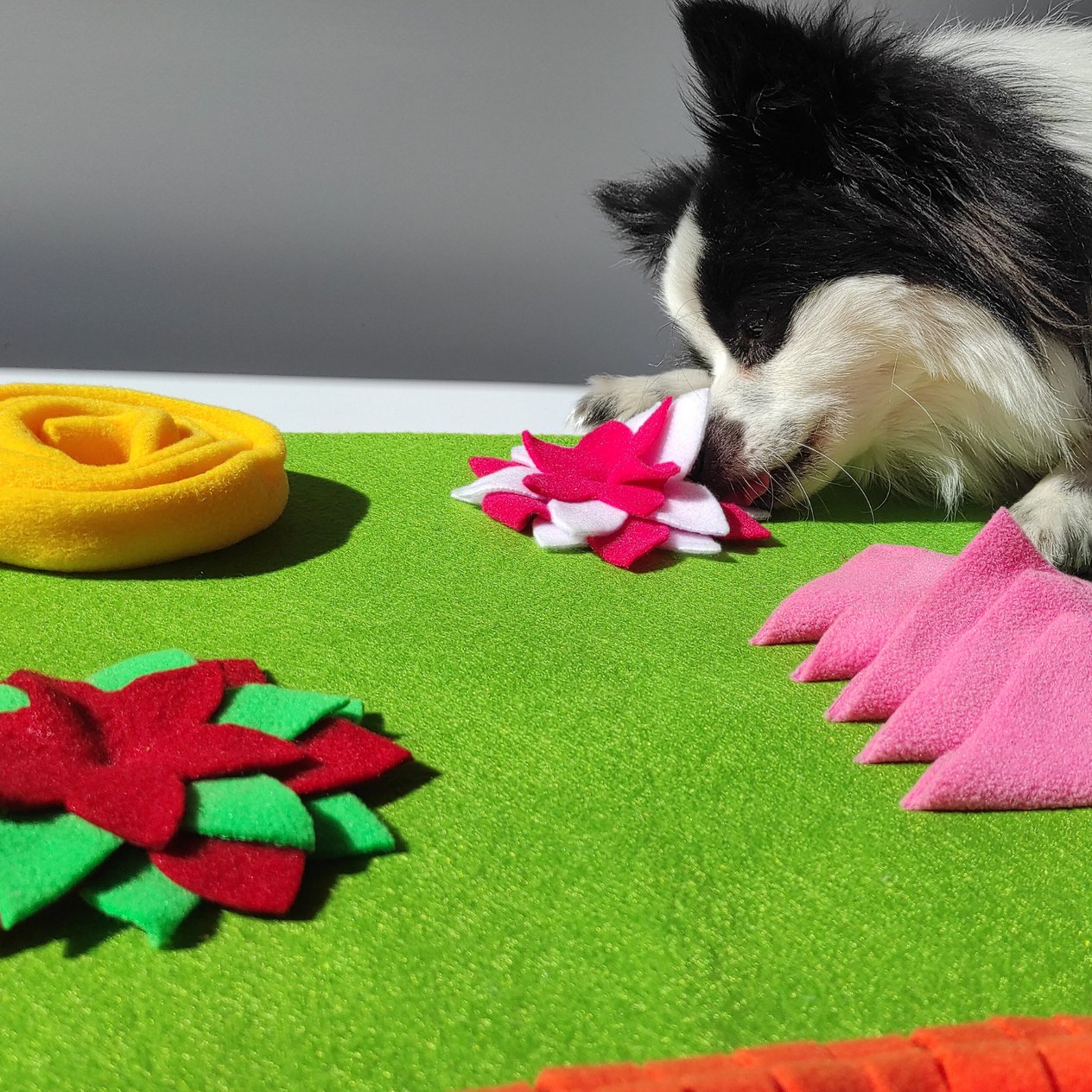 Doğa TemalıKöpek Koklama Matı