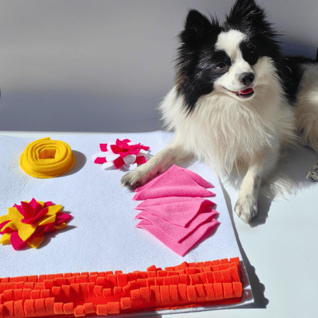 Doğa TemalıKöpek Koklama Matı