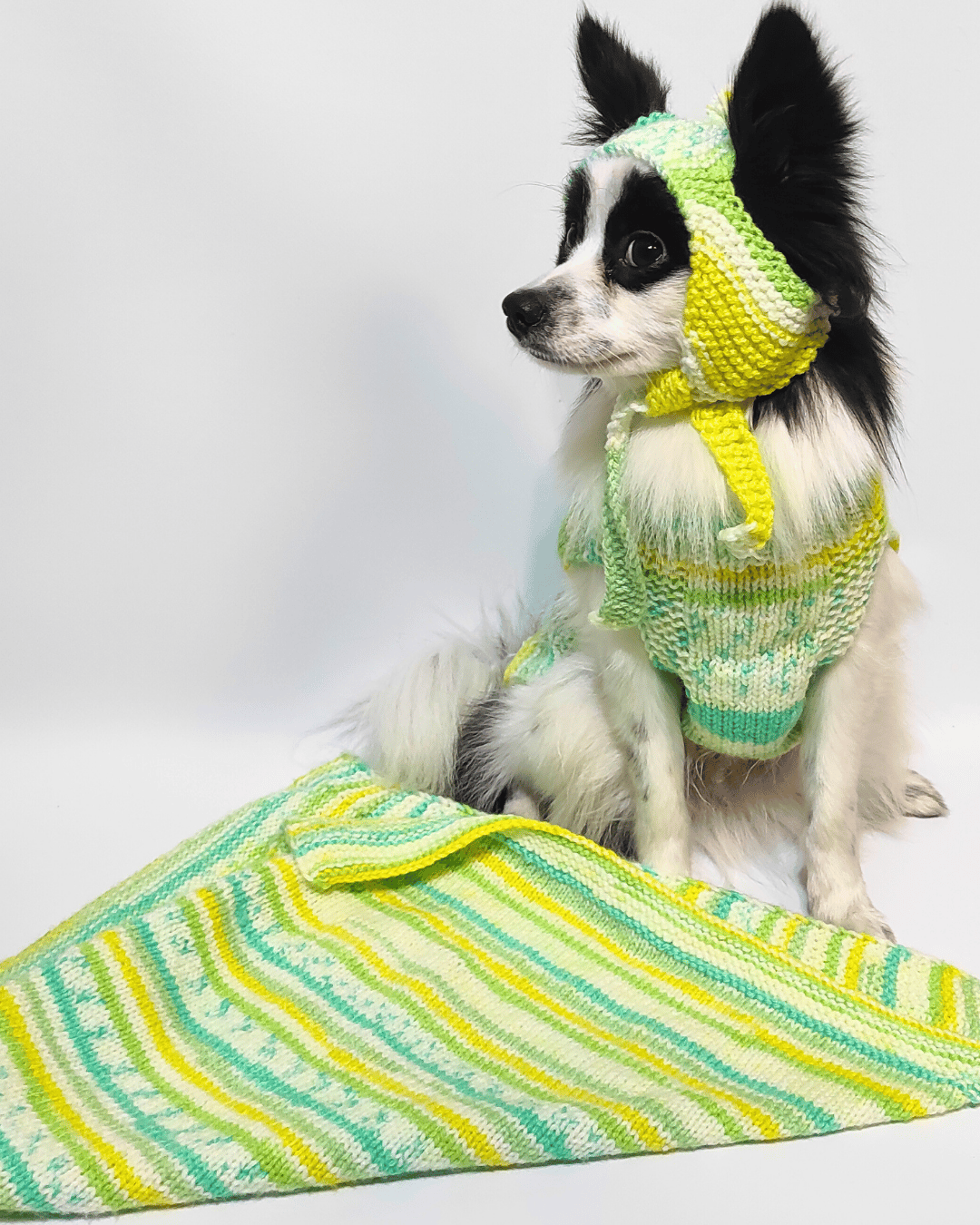Warm Dog Sweater & Beanie – Cozy Pet Clothes for Small Dogs & Cats