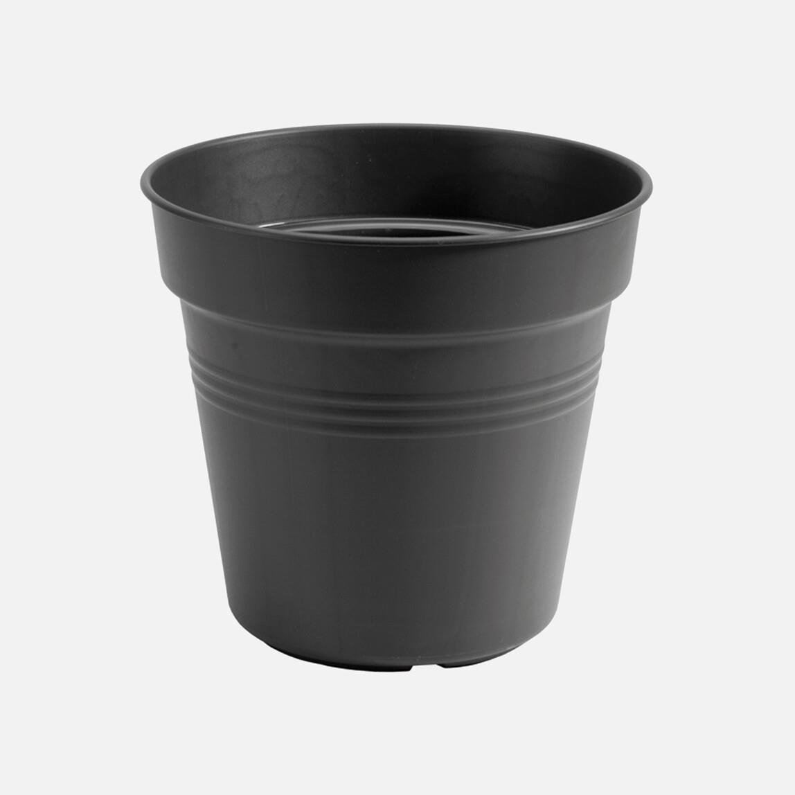 Elho Green Basics Yetiştirme Saksısı Siyah 17 cm