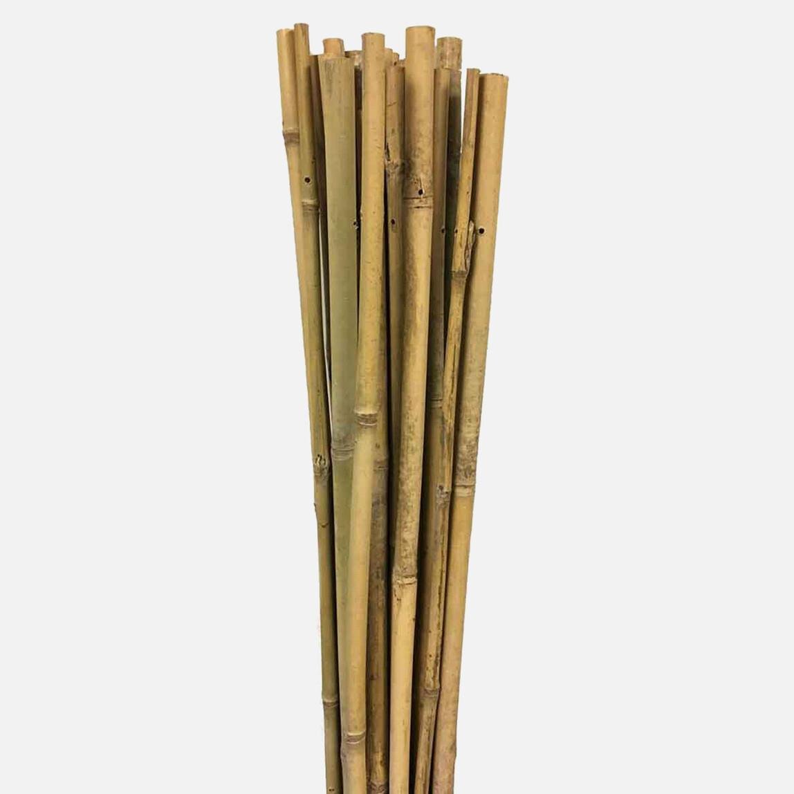 Gardener Bambu Bitki Destek Çubuğu 60 cm