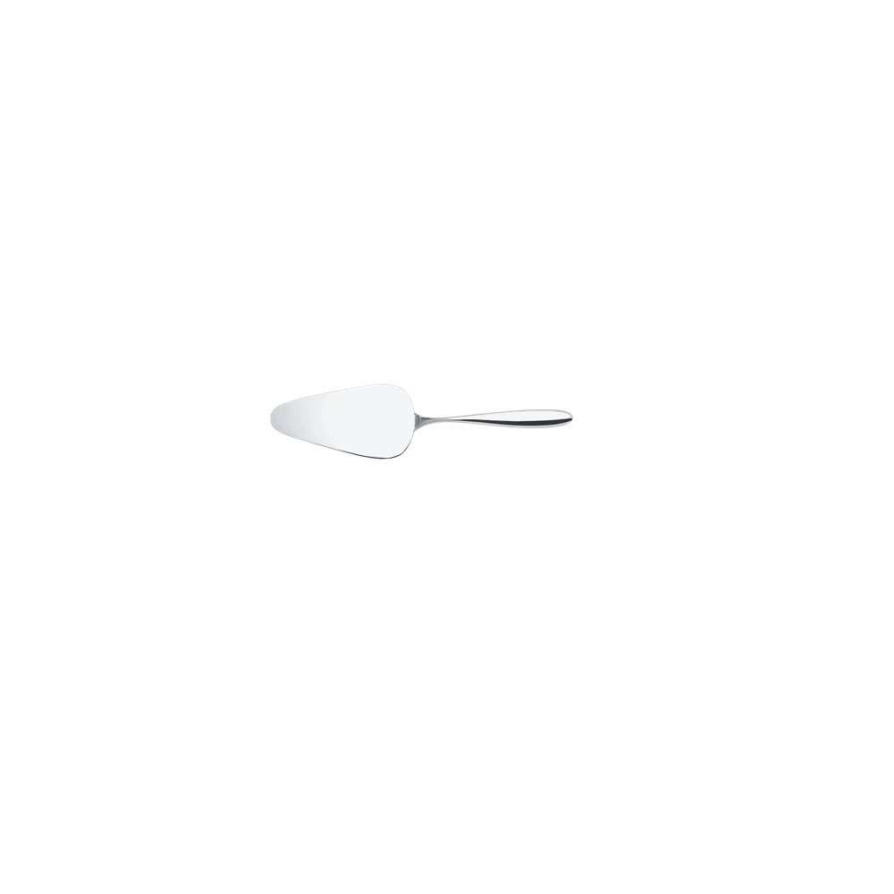 Pasta Spatulası